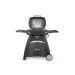  Weber | BBQ Q3000 | Black | Station 503174-01